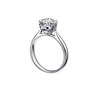 首页| 6008集团官方网站有限公司