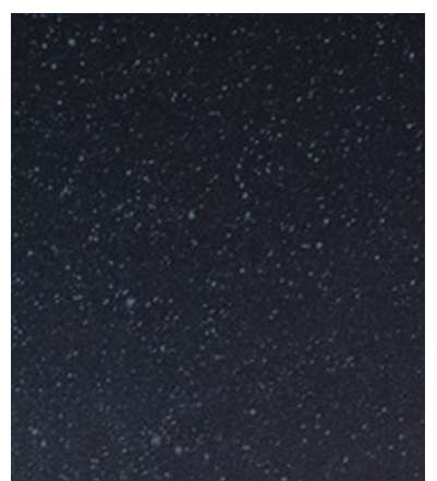 首页| 6008集团官方网站有限公司