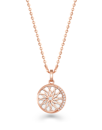 首页| 6008集团官方网站有限公司