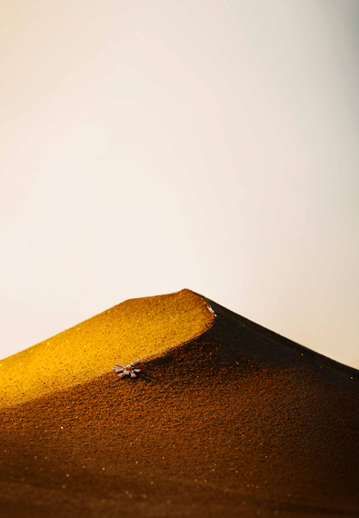 首页| 6008集团官方网站有限公司