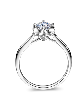 6008集团官方网站婚戒浪漫时光