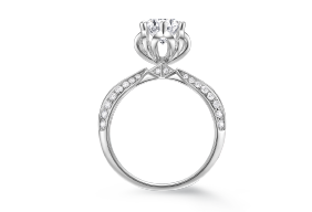 6008集团官方网站克拉钻《青春》